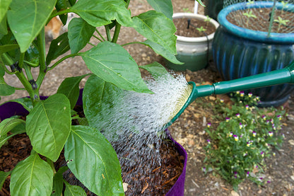 Haws 1.8 Gallon Classic Watering Can