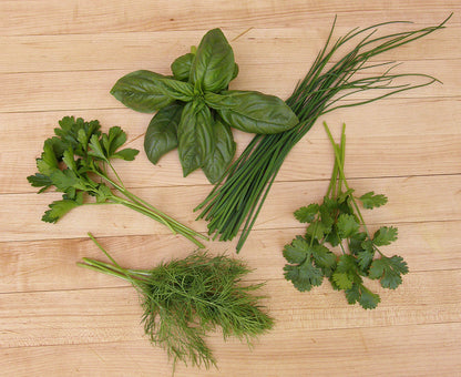 The Container Herb Garden