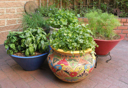 The Container Herb Garden