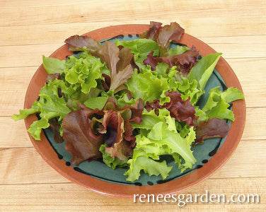 Monet's Garden Mesclun