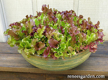 Monet's Garden Mesclun