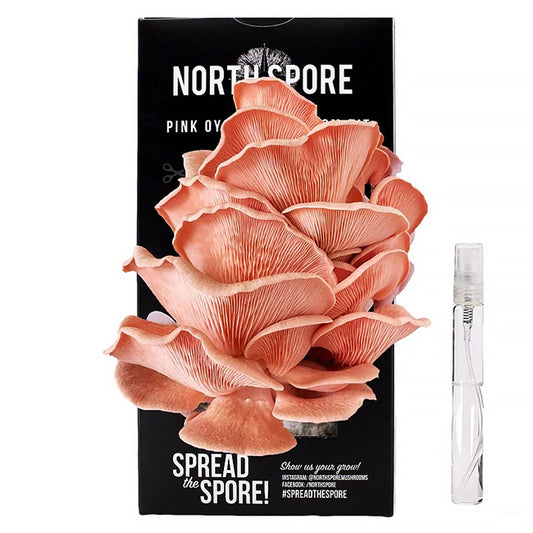 Certified Organic Pink Oyster Mushroom Growing Kit