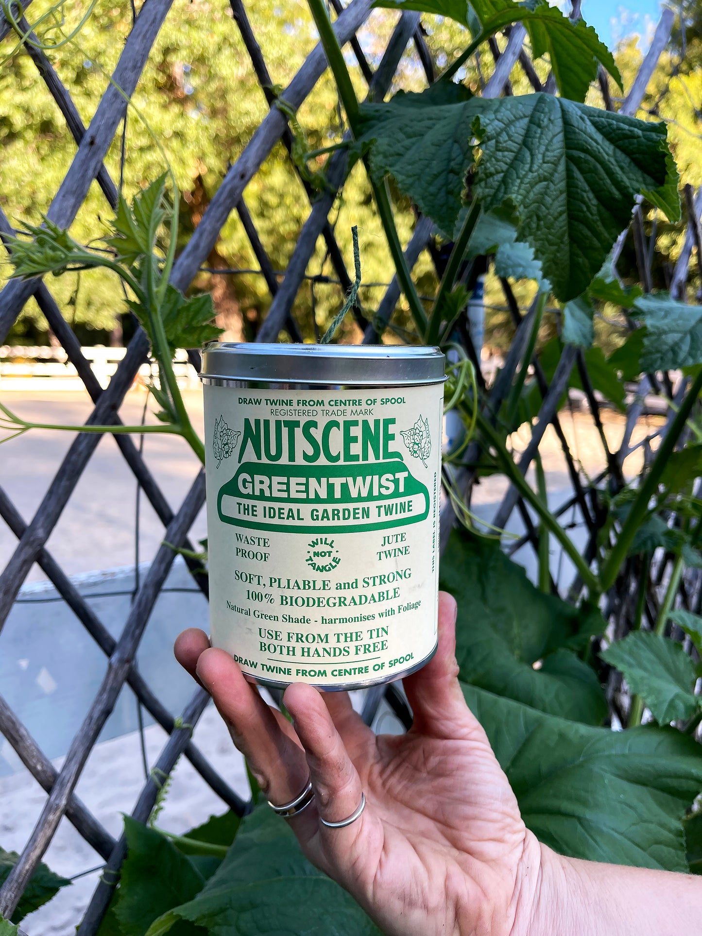 Nutscene Tin O' Twine