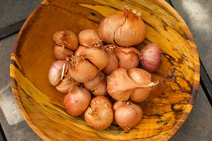 Red Shallots