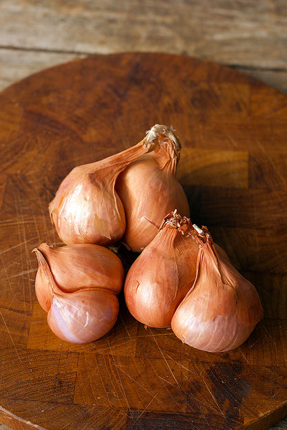 Red Shallots