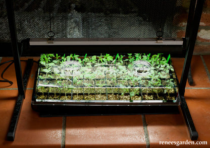 Sunpack Grow Light System