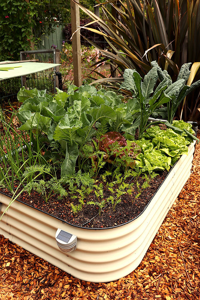 6 In 1 Vego Garden Raised Bed Kit