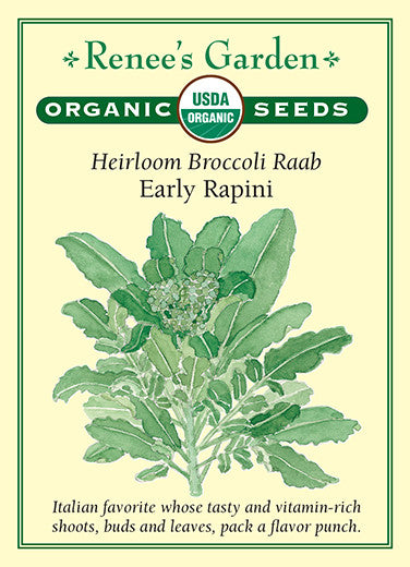 Early Rapini