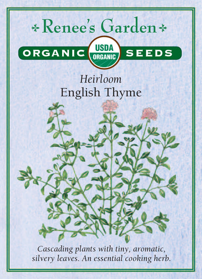 English Thyme