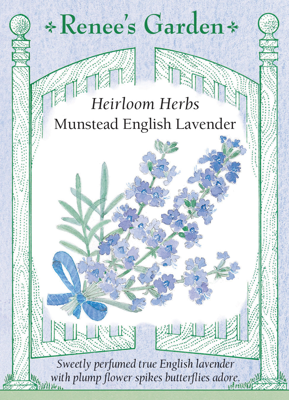 'Munstead English Lavender' Heirloom Herbs | Renee's Garden Seeds
