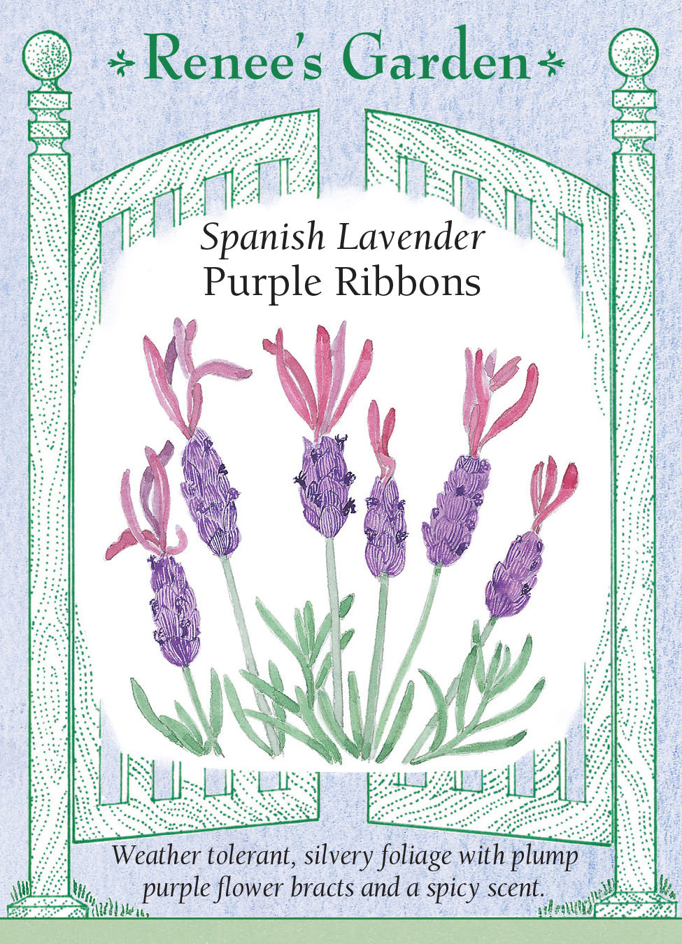 Purple Ribbons