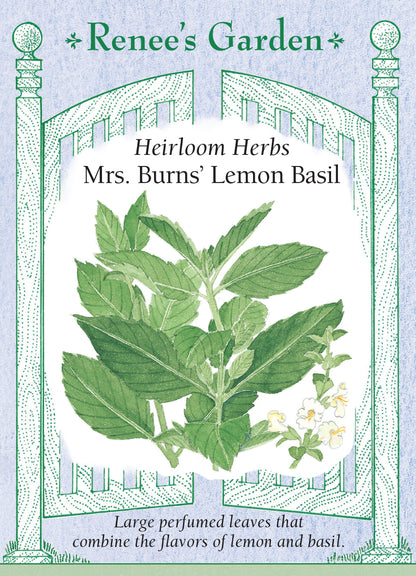 Mrs. Burns' Lemon Basil