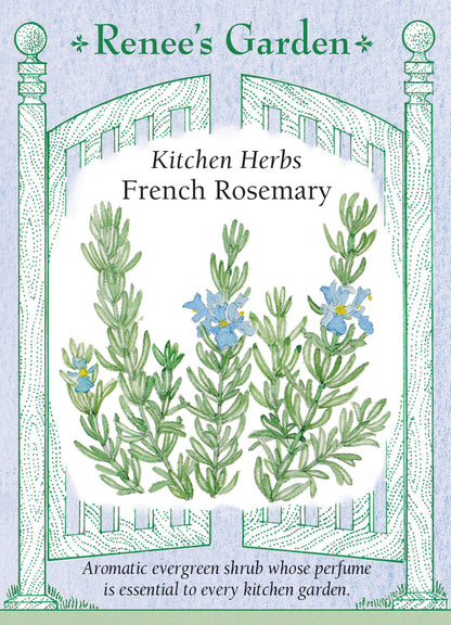 French Rosemary