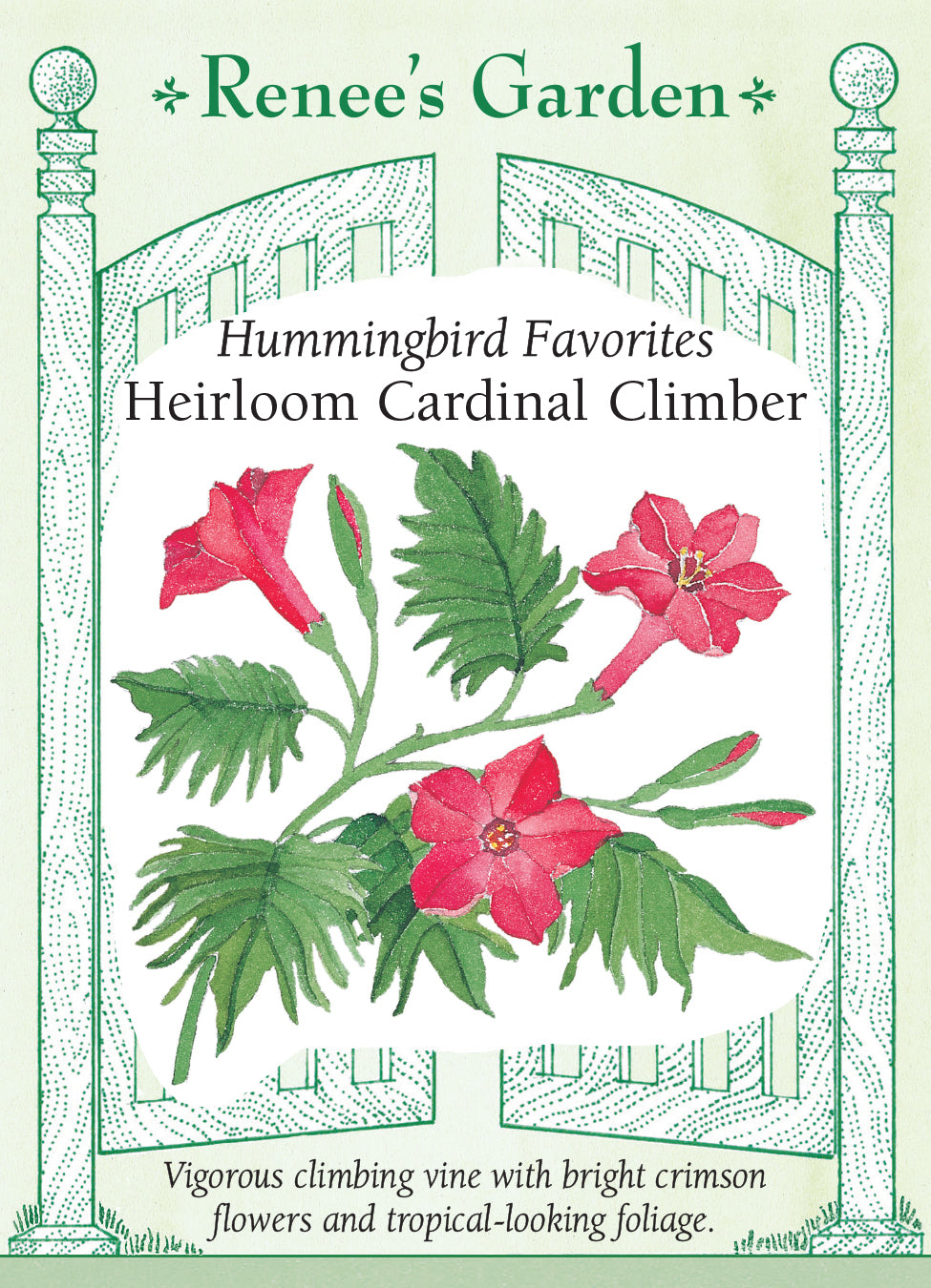 Heirloom Cardinal Climber' Hummingbird Favorites | Renee's Garden