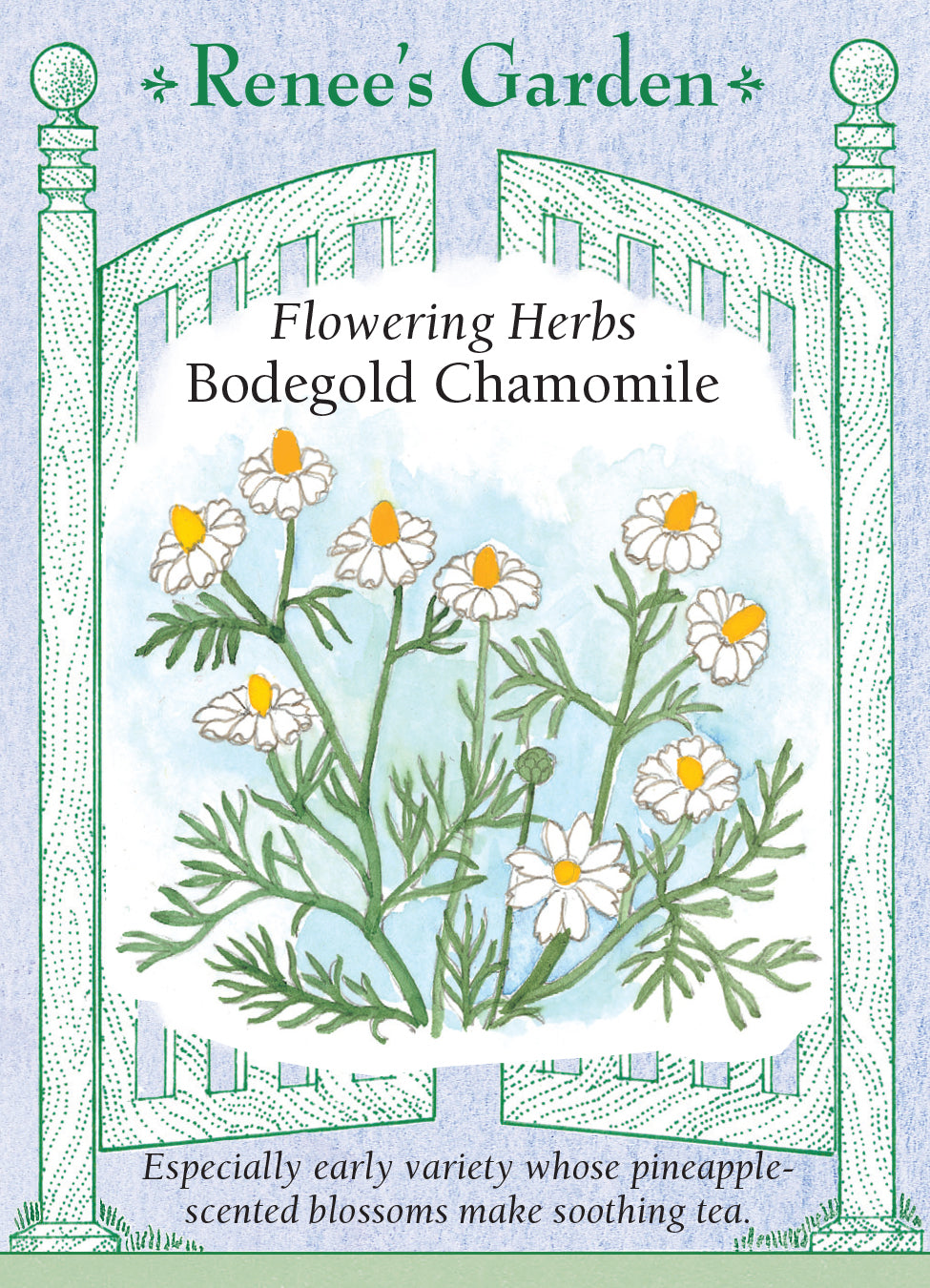 Bodegold Chamomile