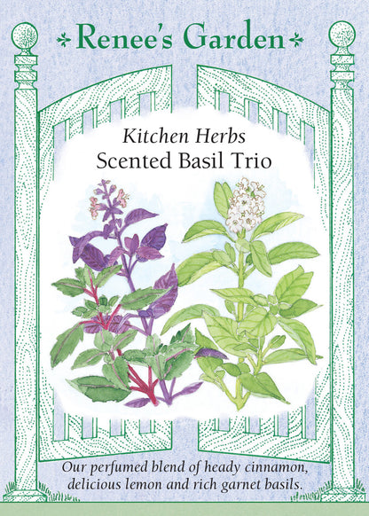 Scented Basil Trio