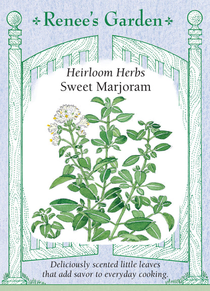 Sweet Marjoram