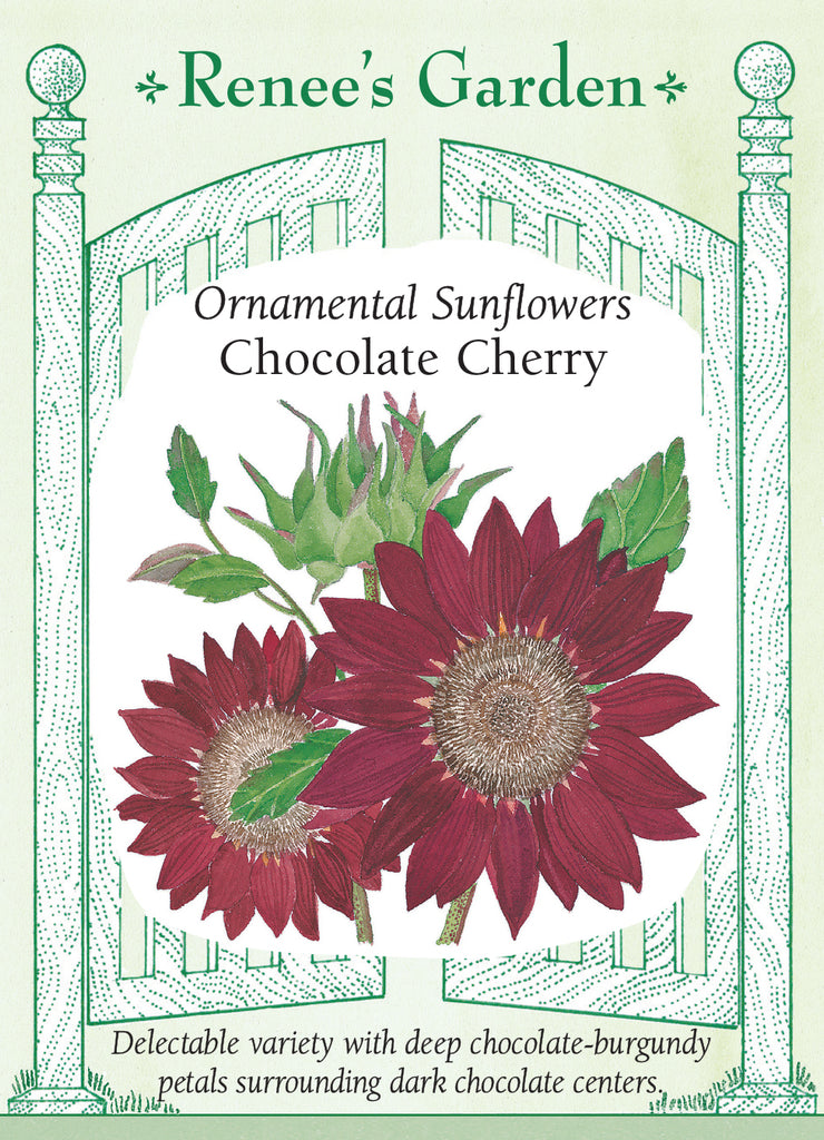 Set of 25 Flower Seed Packets Including 10 Or More Varieties