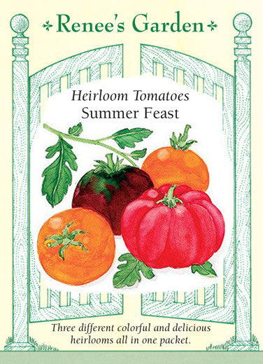 Mississippi Queen Tomato-Bounty Hunter Seeds-Dean Slater Seed