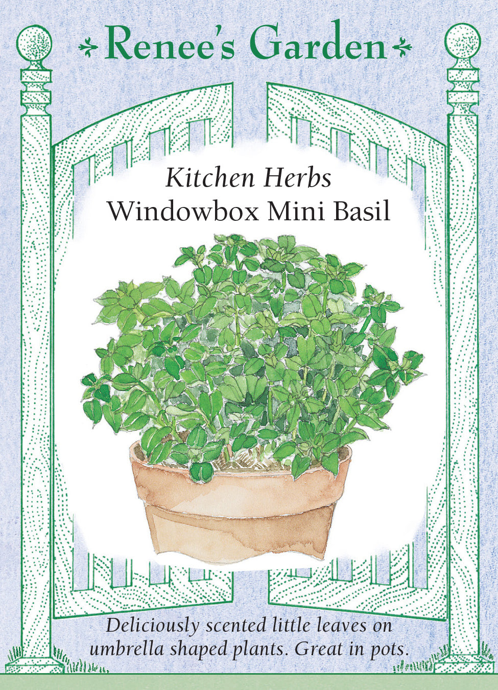 Windowbox Mini Basil