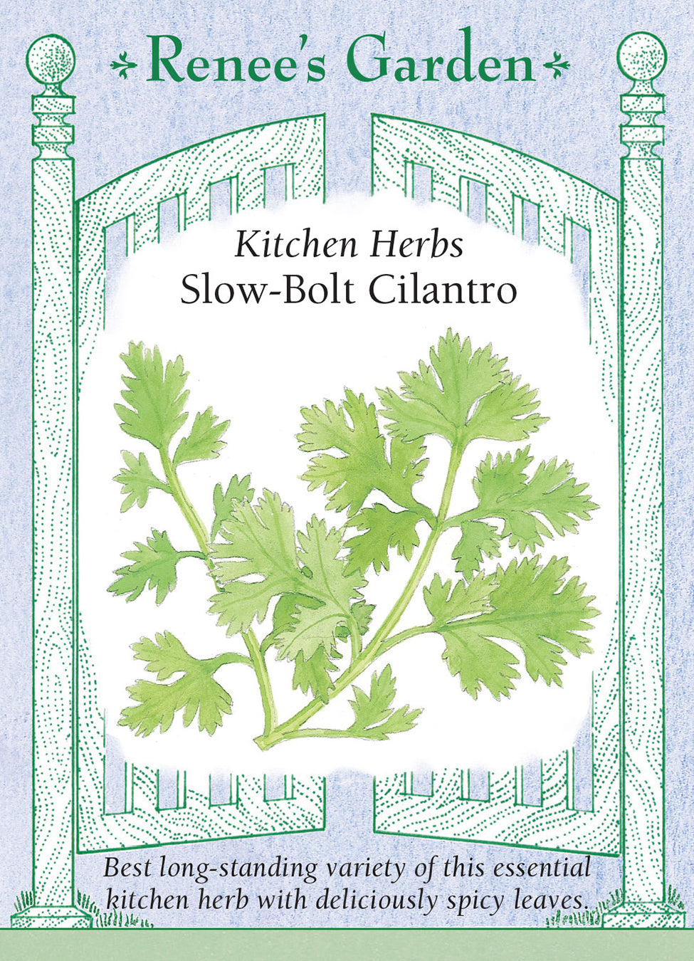 Slow-Bolt Cilantro