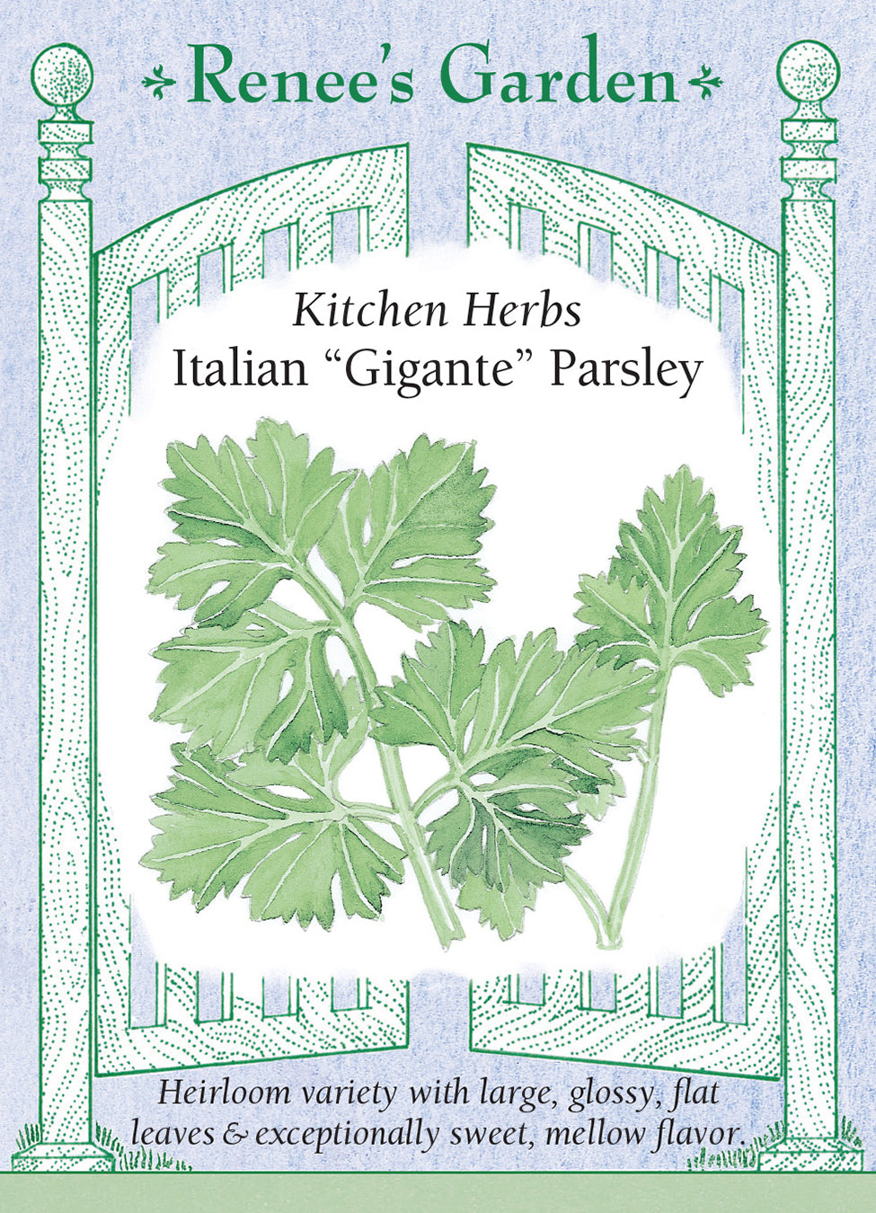 Italian “Gigante” Parsley