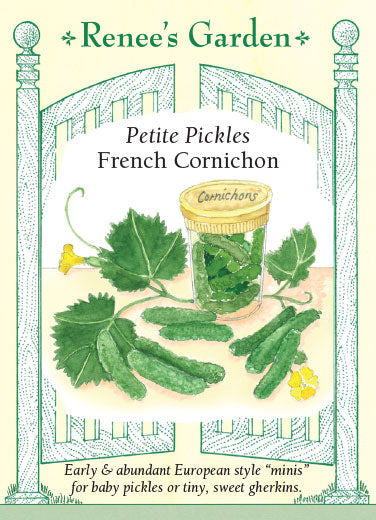 French Cornichon' Petite Pickles | Renee's Garden Seeds