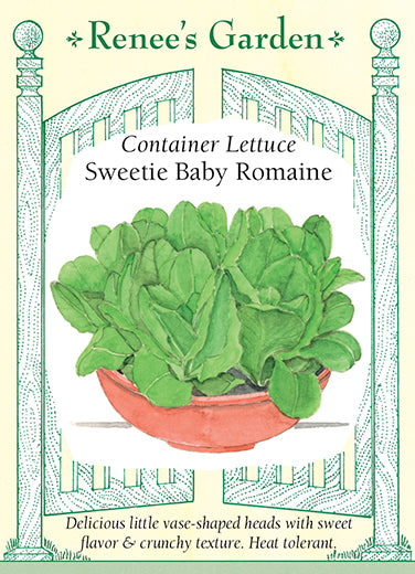 Sweetie Baby Romaine