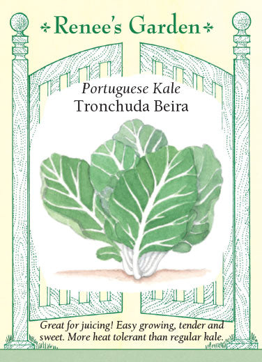 Tronchuda Beira