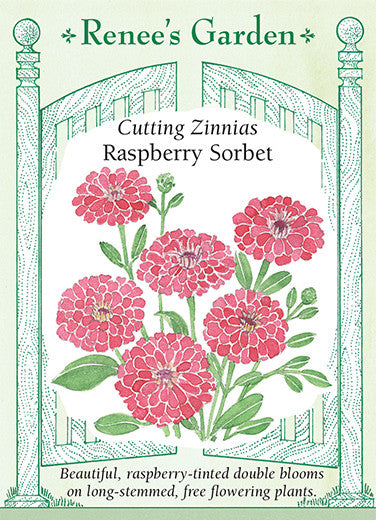 Raspberry Sorbet