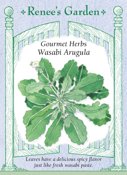 Wasabi Arugula