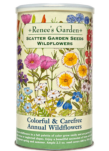 Colorful & Carefree Annual Wildflowers