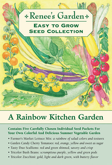 What is Garden Seed Box?, by David Timberlake Olson