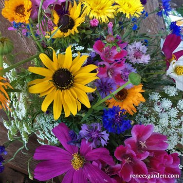 Early Blooming Beekeeper's Mix