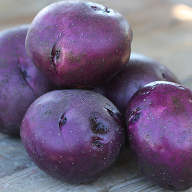 Huckleberry Gold: The First Low Glycemic Potato!