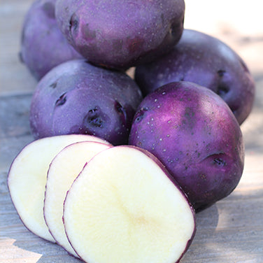 Huckleberry Gold: The First Low Glycemic Potato!