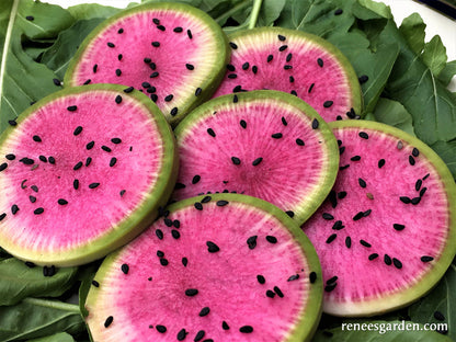 Watermelon