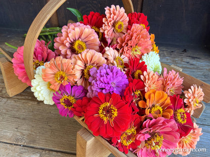 Blue Ribbon Bouquet