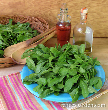 Italian Arugula