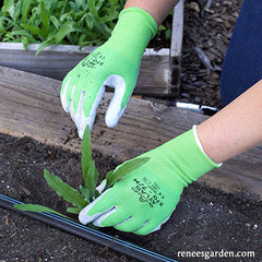 Atlas Nitrile Gloves  Renee's Garden Seeds