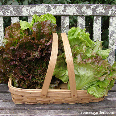 Woven Oak Harvesting Baskets