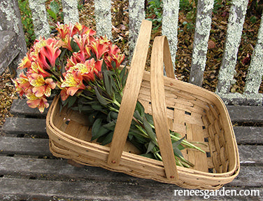 Woven Oak Harvesting Baskets