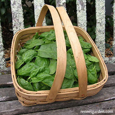 Woven Oak Harvesting Baskets