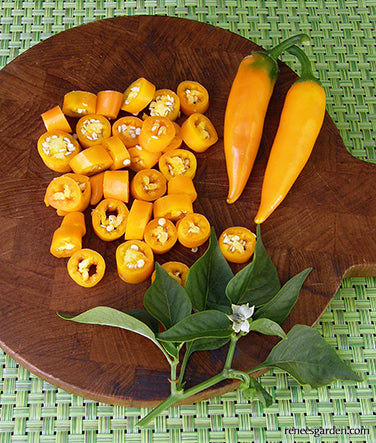 Bulgarian Carrot