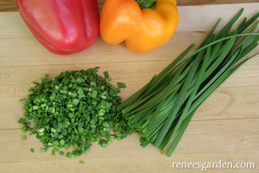 Garlic Chives