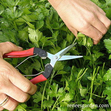 Felco Kitchen and Garden Snips