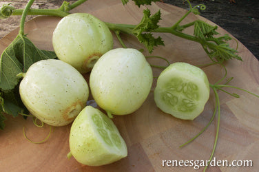 Lemon Cucumbers