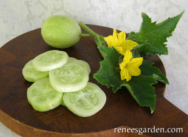 Lemon Cucumbers