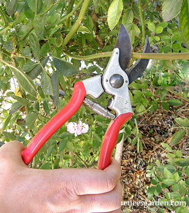 Felco Hand Pruners