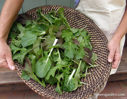 Renee's Stirfry Mix